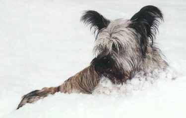 Duncan playing in the snow, February 2000