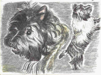 Finnegan, sketched by Cheri Wallingford