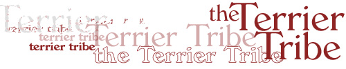 Terrier Tribe nameplate.